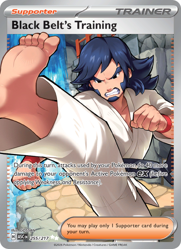 Black Belt's Training - 255/217 - ME02.5: Ascended Heroes (Ultra Rare) — ME: Ascended Heroes
